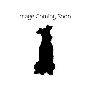 The Barking Boutique Dandie Dinmont Terrier