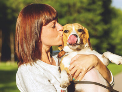 Ways To Build Trust With Your Dog Adoption Grand Rapids