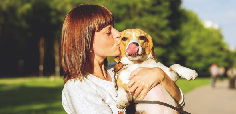 Ways To Build Trust With Your Dog Adoption Grand Rapids