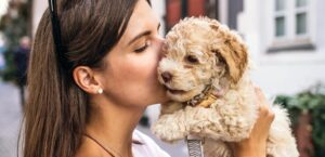 How Your Dog Can Teach You Valuable Life Lessons