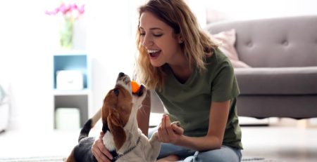 Creative Activities To Bond With Your New Dog