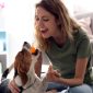 Creative Activities To Bond With Your New Dog
